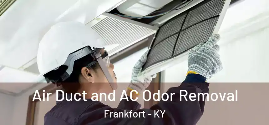 Air Duct and AC Odor Removal Frankfort - KY