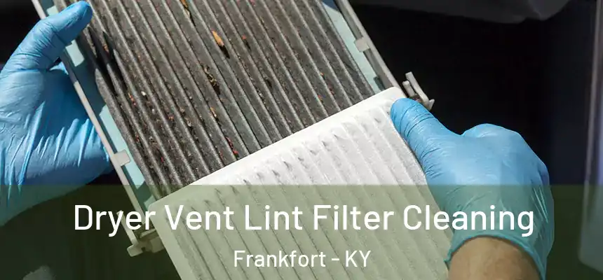 Dryer Vent Lint Filter Cleaning Frankfort - KY