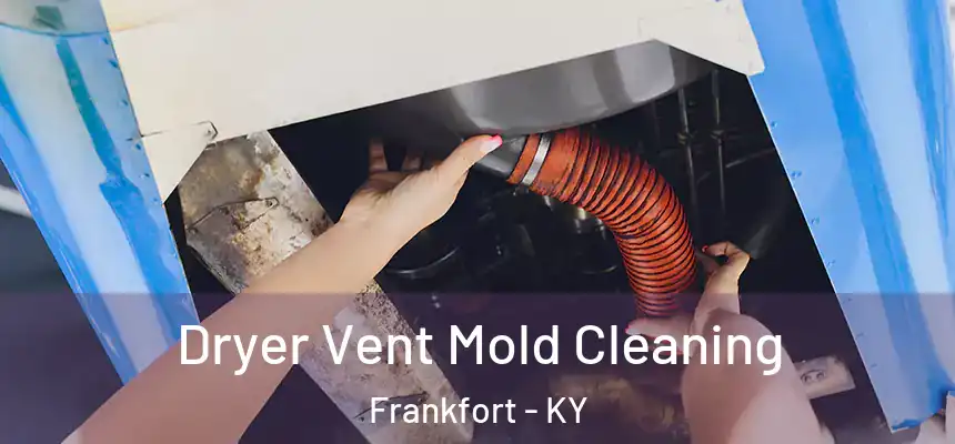 Dryer Vent Mold Cleaning Frankfort - KY