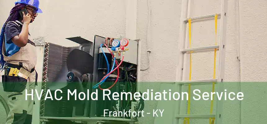  HVAC Mold Remediation Service Frankfort - KY