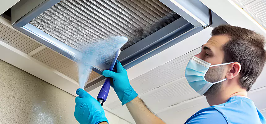Proactive Dryer Vent & Auxiliary Duct Pollen Cleanup in Frankfort, KY