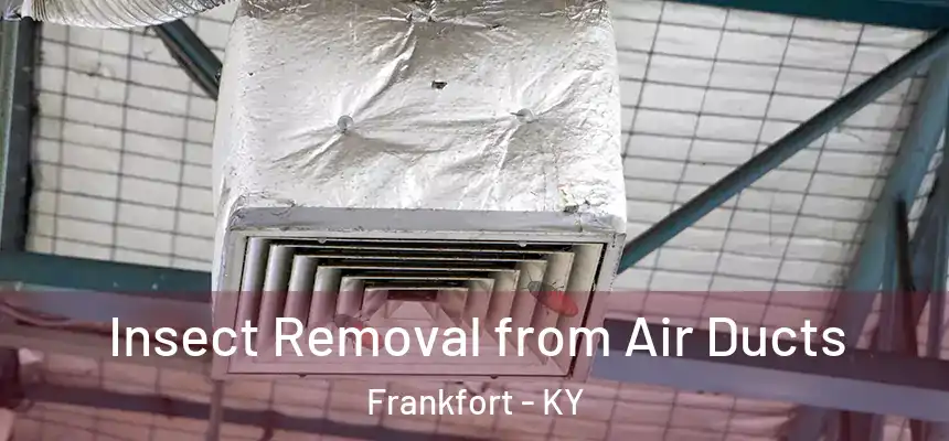  Insect Removal from Air Ducts Frankfort - KY