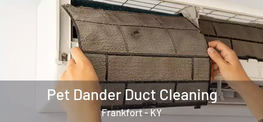 Pet Dander Duct Cleaning Frankfort - KY