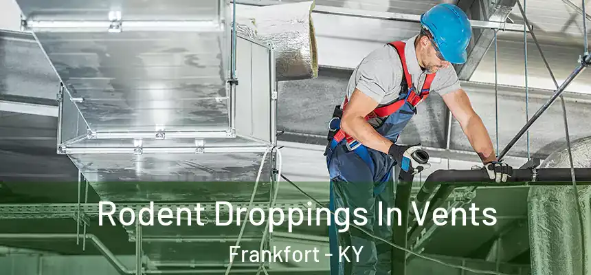  Rodent Droppings In Vents Frankfort - KY