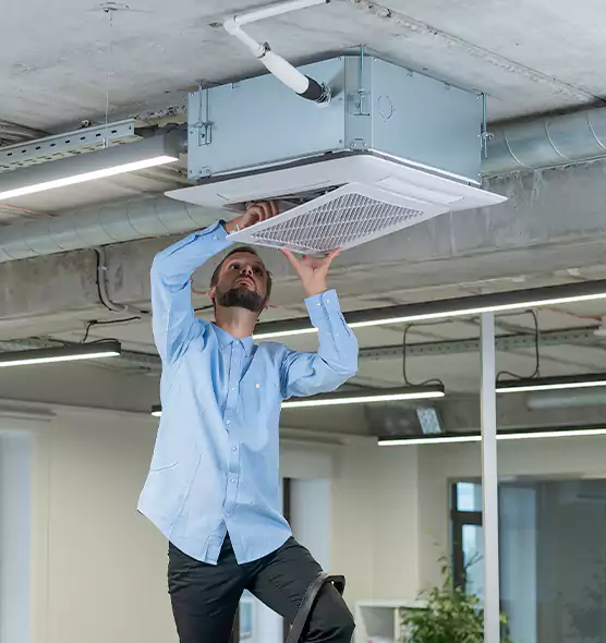 Advanced Rodent Droppings In Vents in Frankfort, KY