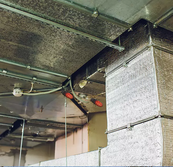 Why Homeowners & Businesses Trust Us in Frankfort, KY?