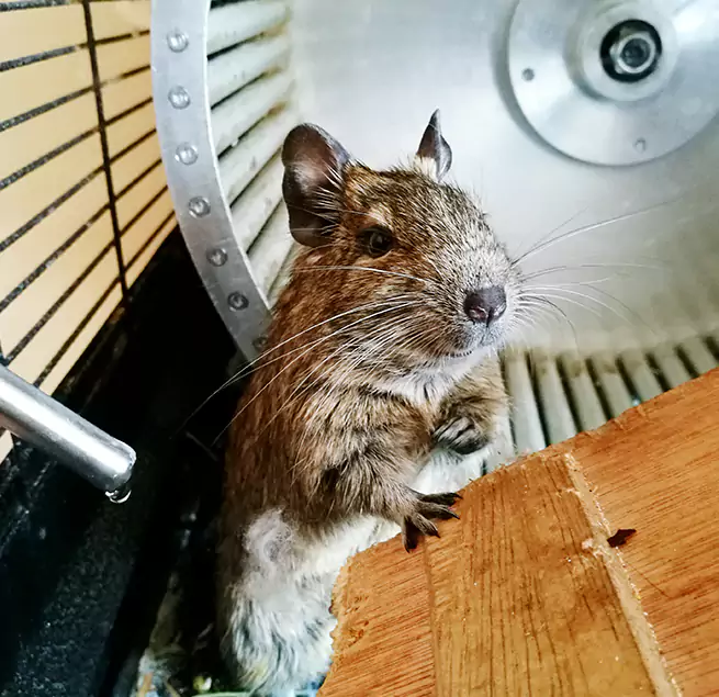 Why Homeowners & Businesses Trust Us Frankfort, KY