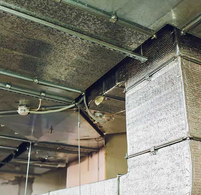 Why Homeowners & Businesses Trust Us in Frankfort, KY?